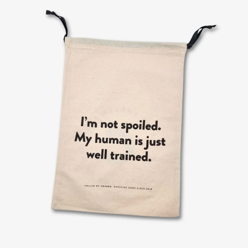 Bolsa de polvo - Medium