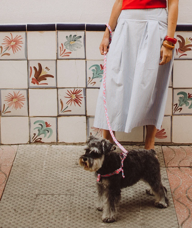 Arnés para perro Ceret