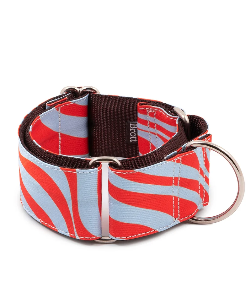 Collar para Galgo Malniu
