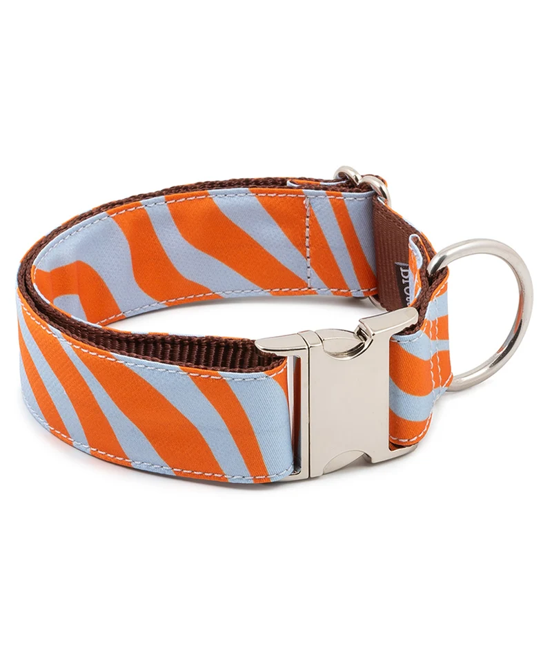 Collar para perro Arbeca