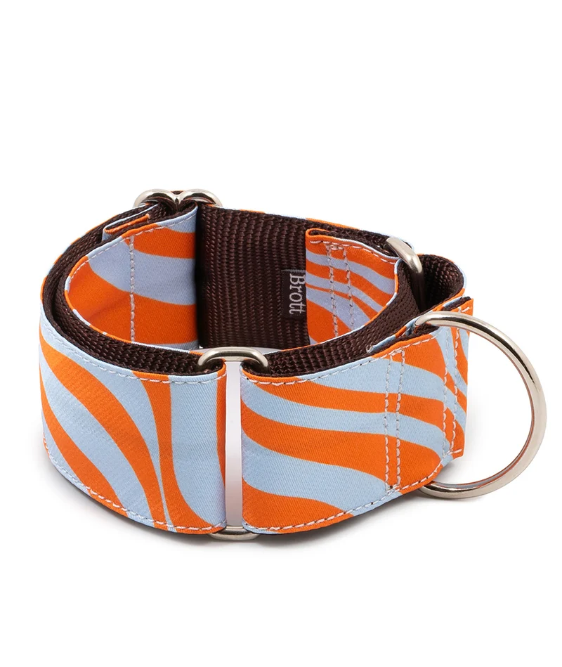 Collar para Galgo Arbeca