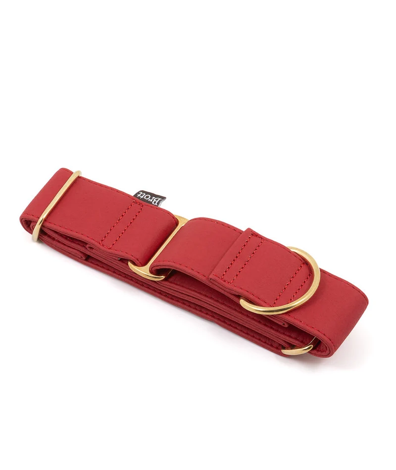 Collar Galgo Essence Red gold