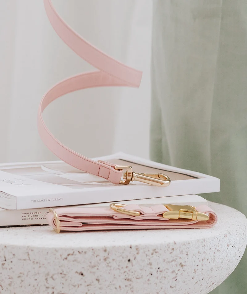 Correa perro Essence Soft Pink gold