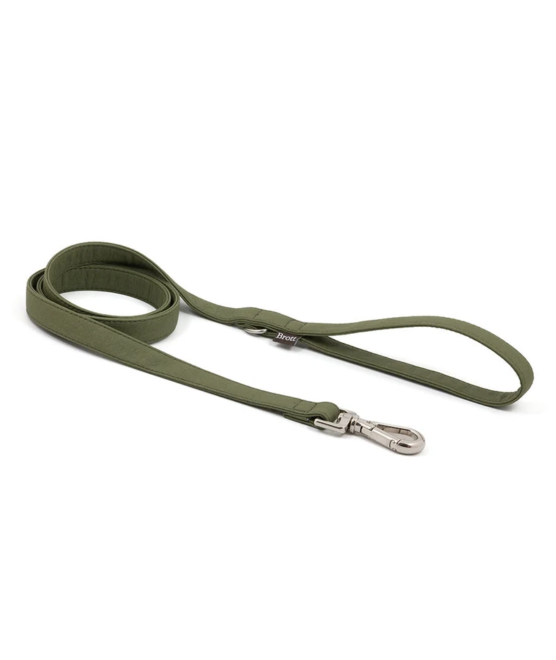 Correa perro Essence Green Musk silver