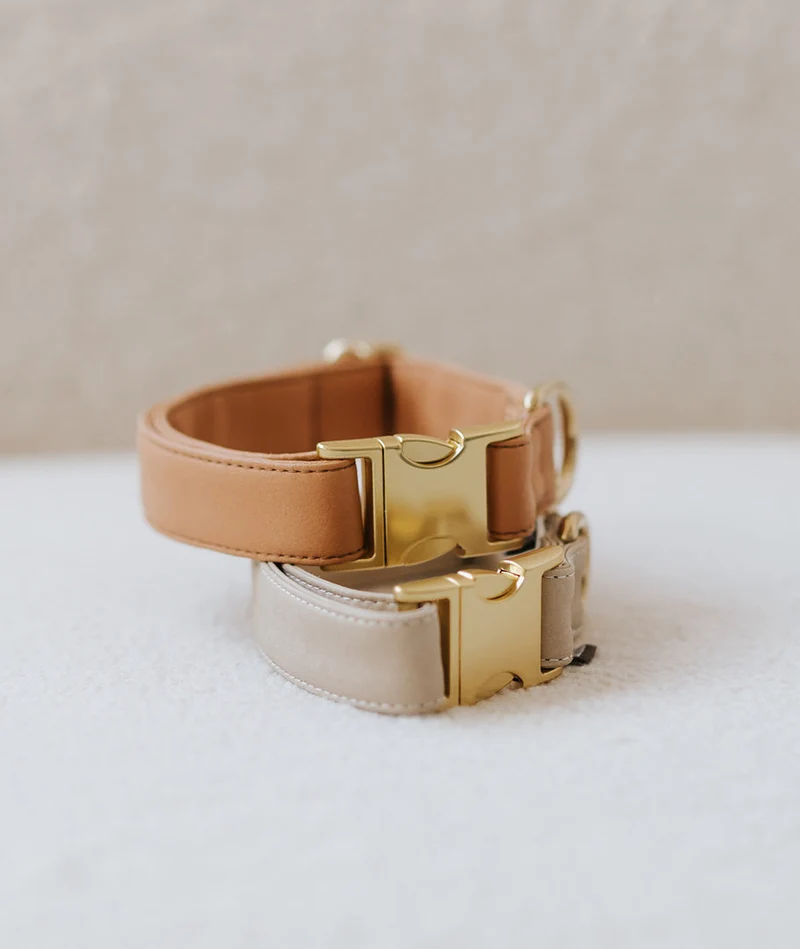Collar perro Essence Taupe gold