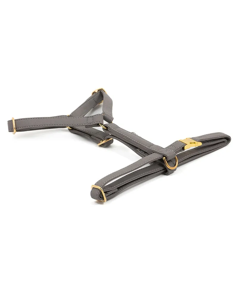 Arnés perro Essence Grey gold