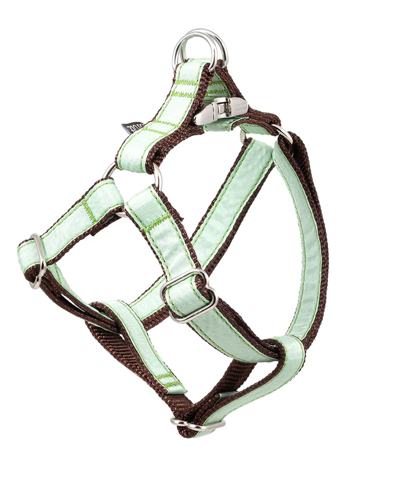 Arnés petral para perro Solid Green Aqua