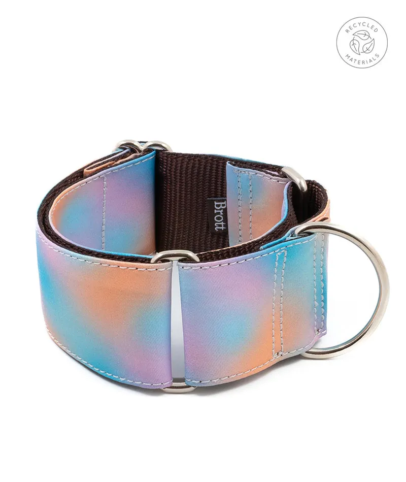 Collar para Galgo Mora