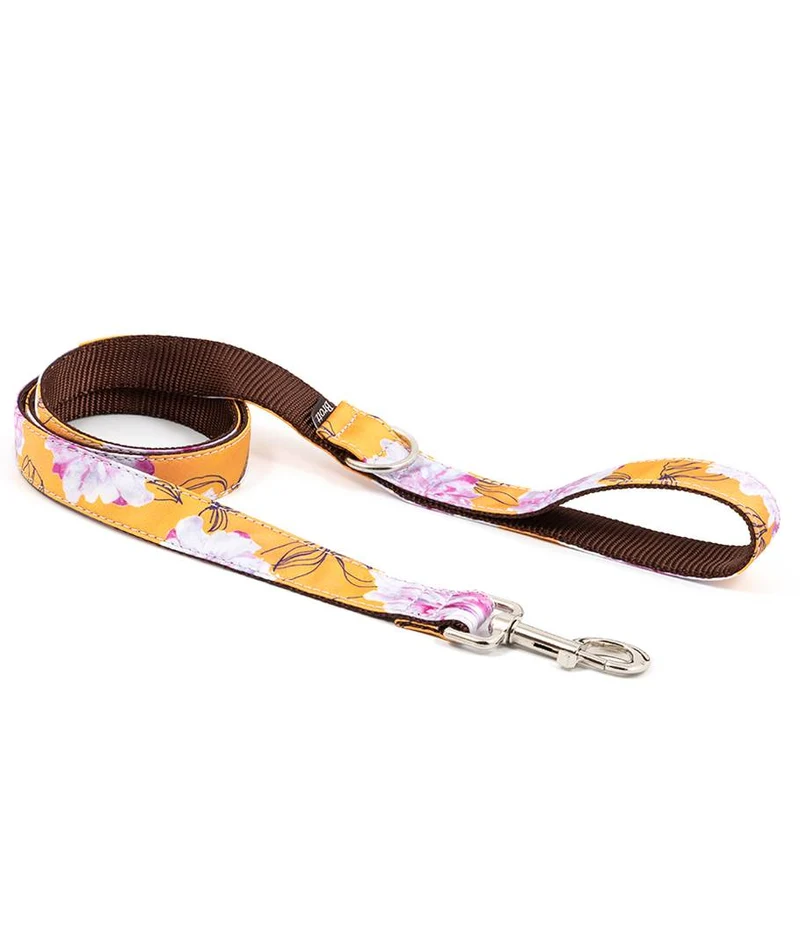 Correa para perro Teia