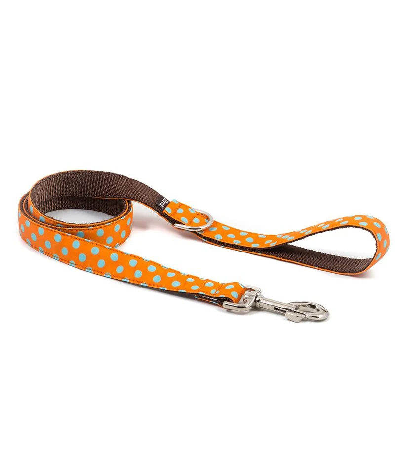 Correa para perro Pola