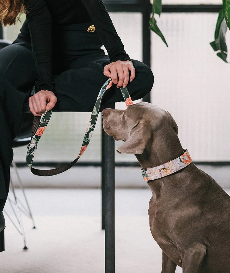Correa para perro Espelt
