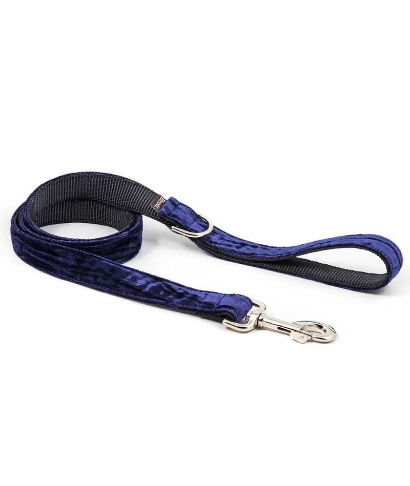 Correa para perro Buseu