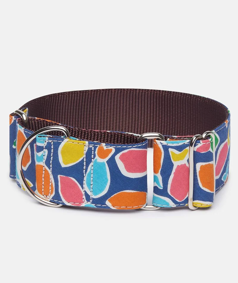 Collar Galgo Hake