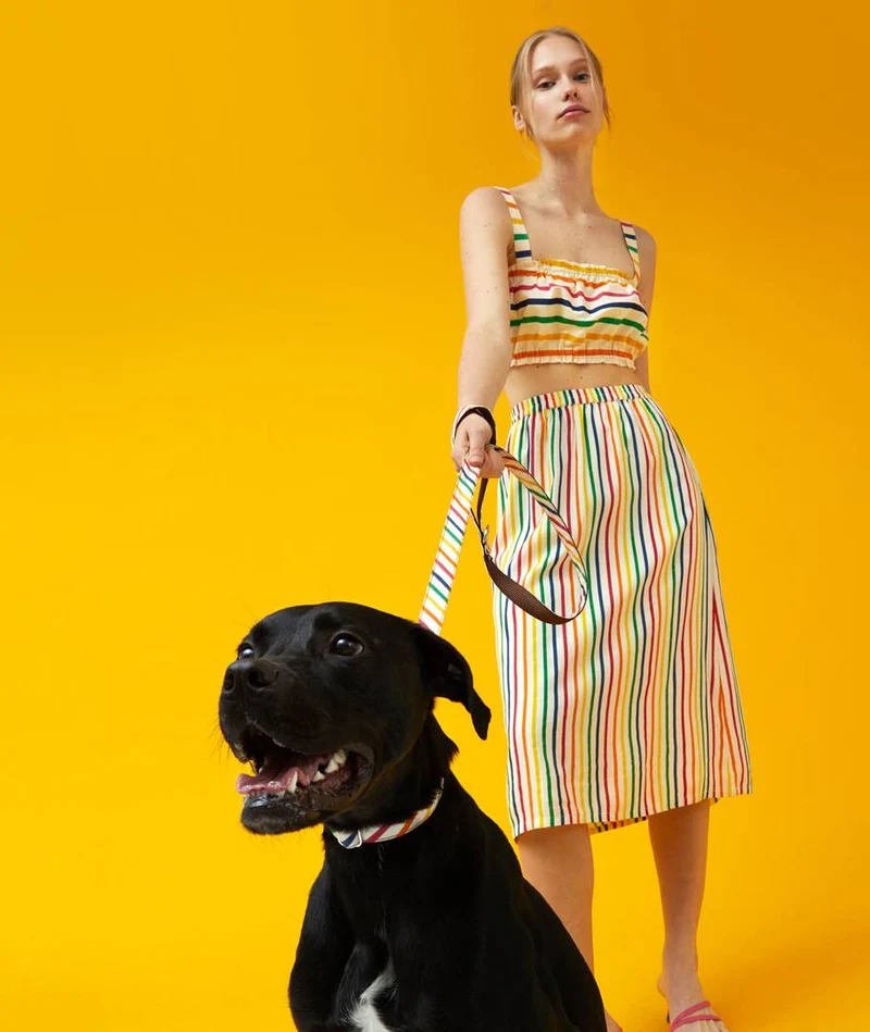 Collar perro Maldivas
