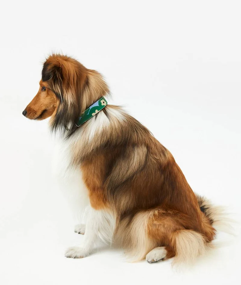 Collar perro Bold Flowers