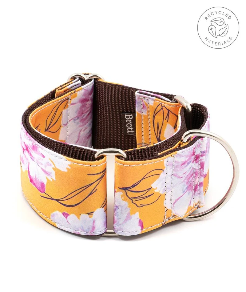 Collar para Galgo Teia