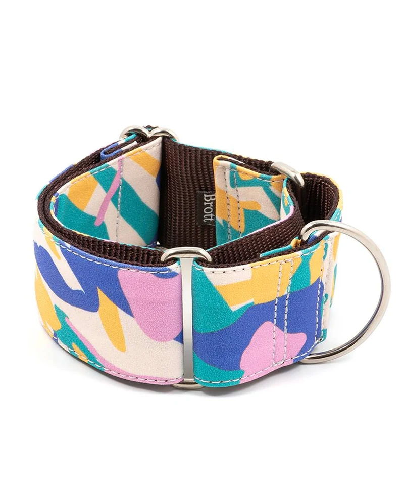 Collar para Galgo Montroig