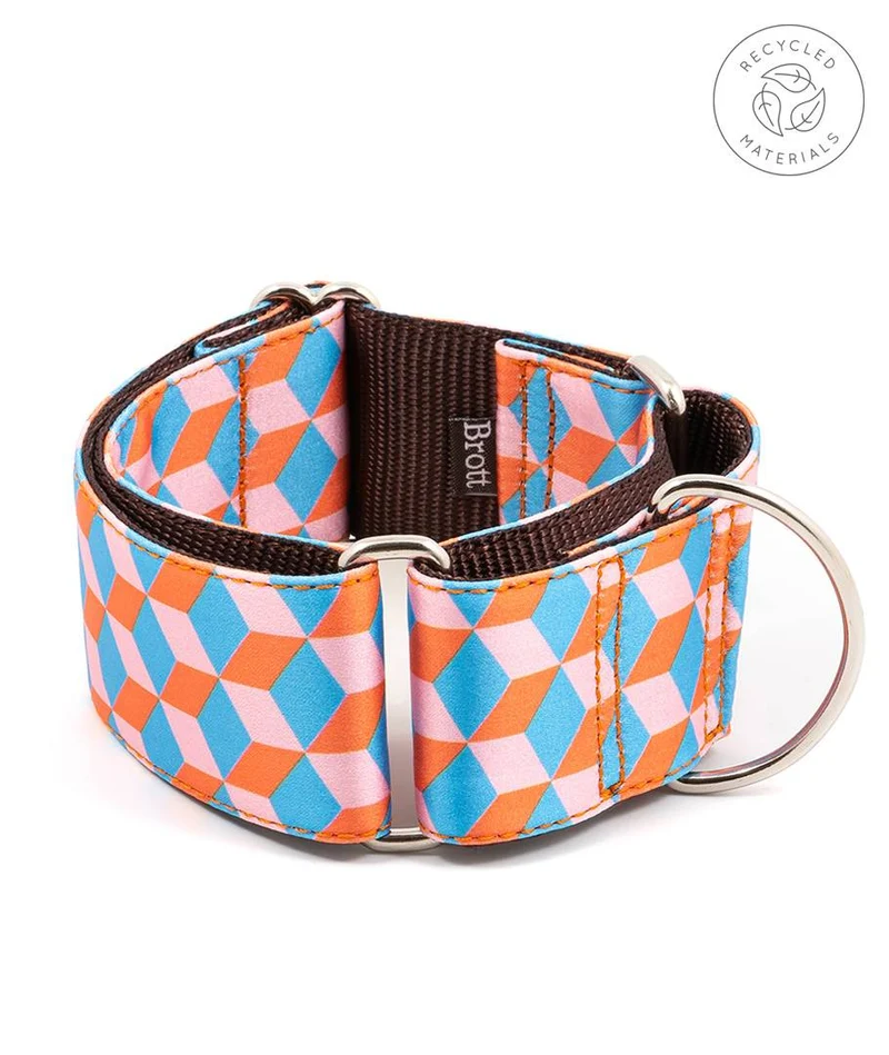 Collar para Galgo Satuna