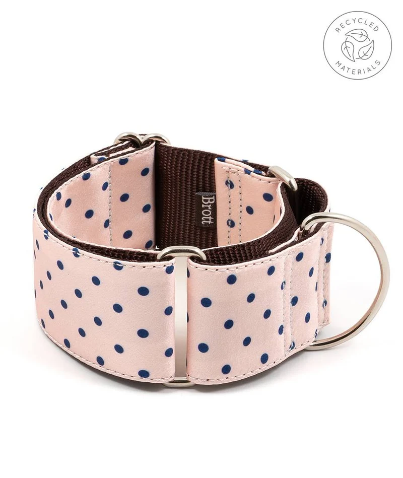 Collar para Galgo Sarria