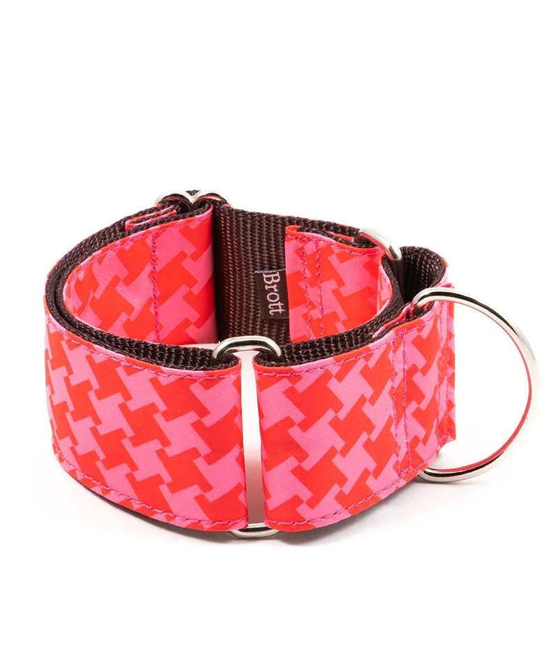 Collar para Galgo Miralles