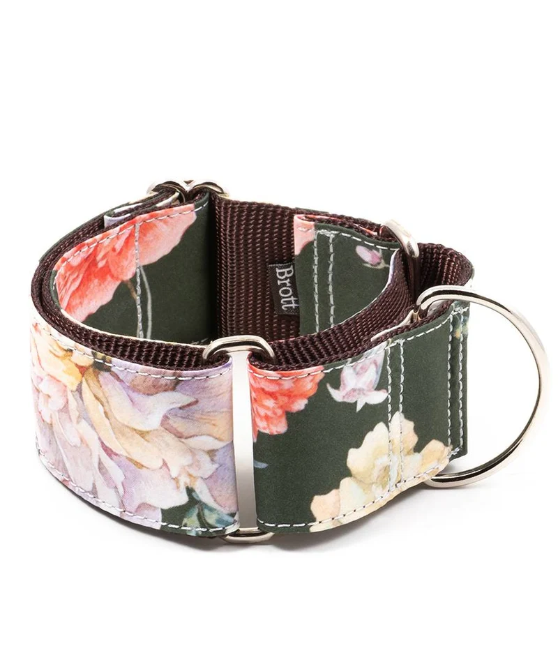 Collar para Galgo Espelt
