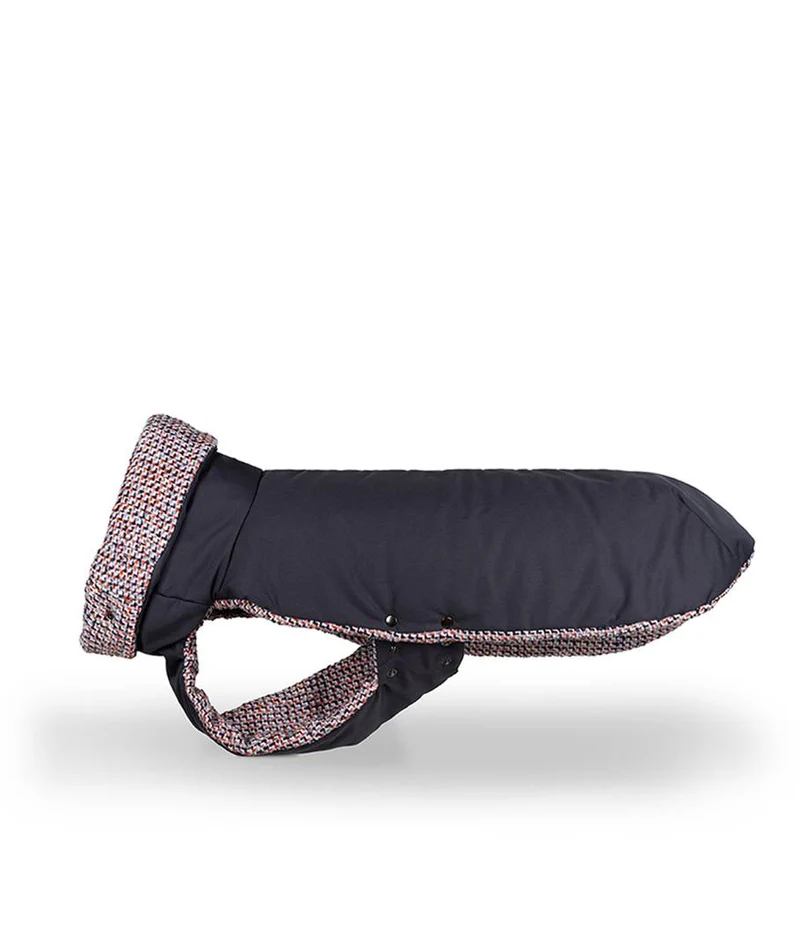Abrigo de Invierno para Galgo Grey & Llivia