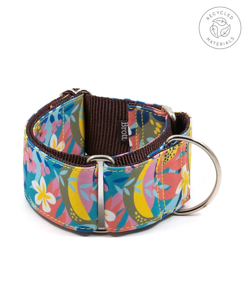Collar para Galgo Ciutadella