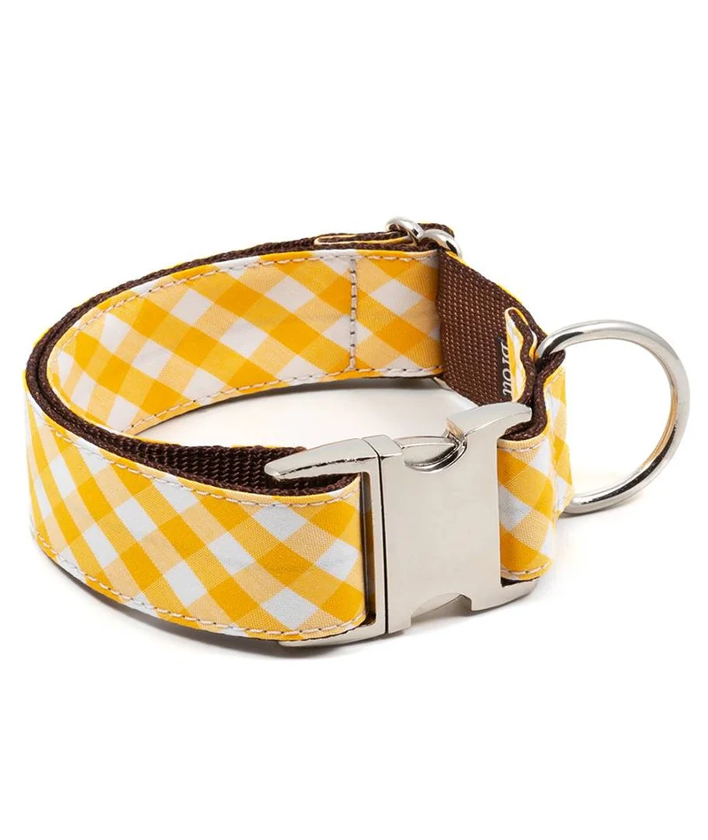 Collar para perro Olivella