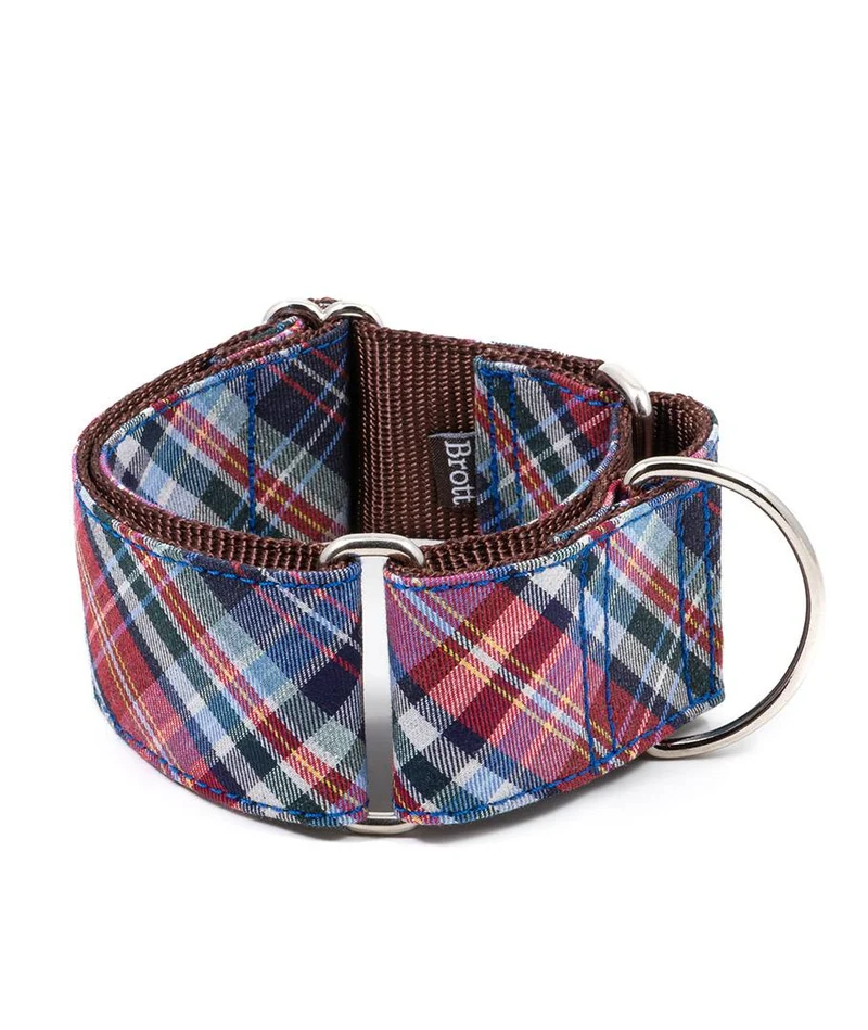 Collar para Galgo Gosol