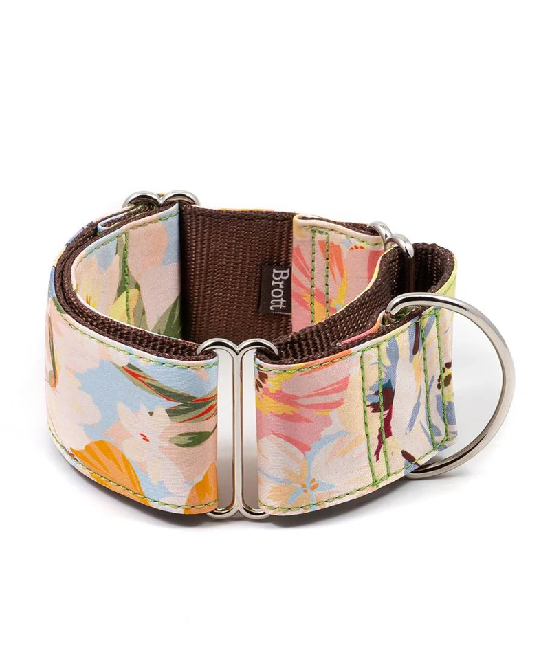 Collar para Galgo Vilanova