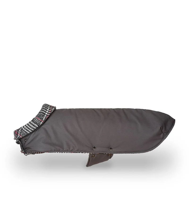 Abrigo para Galgo Grey & Ribes