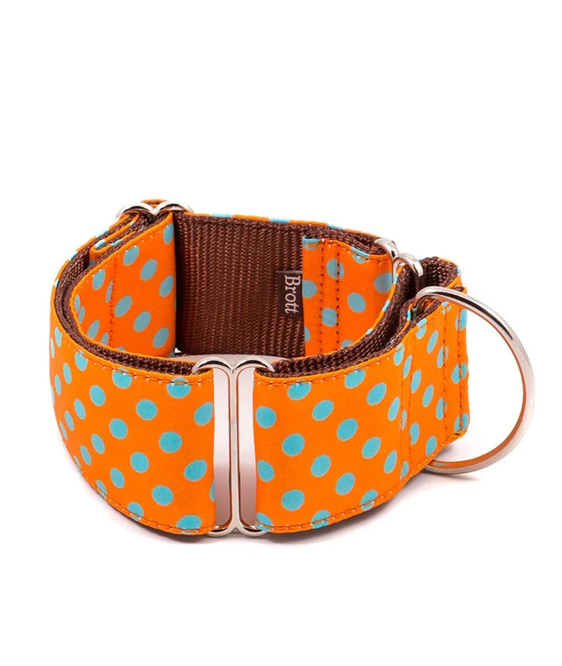 Collar para Galgo Pola