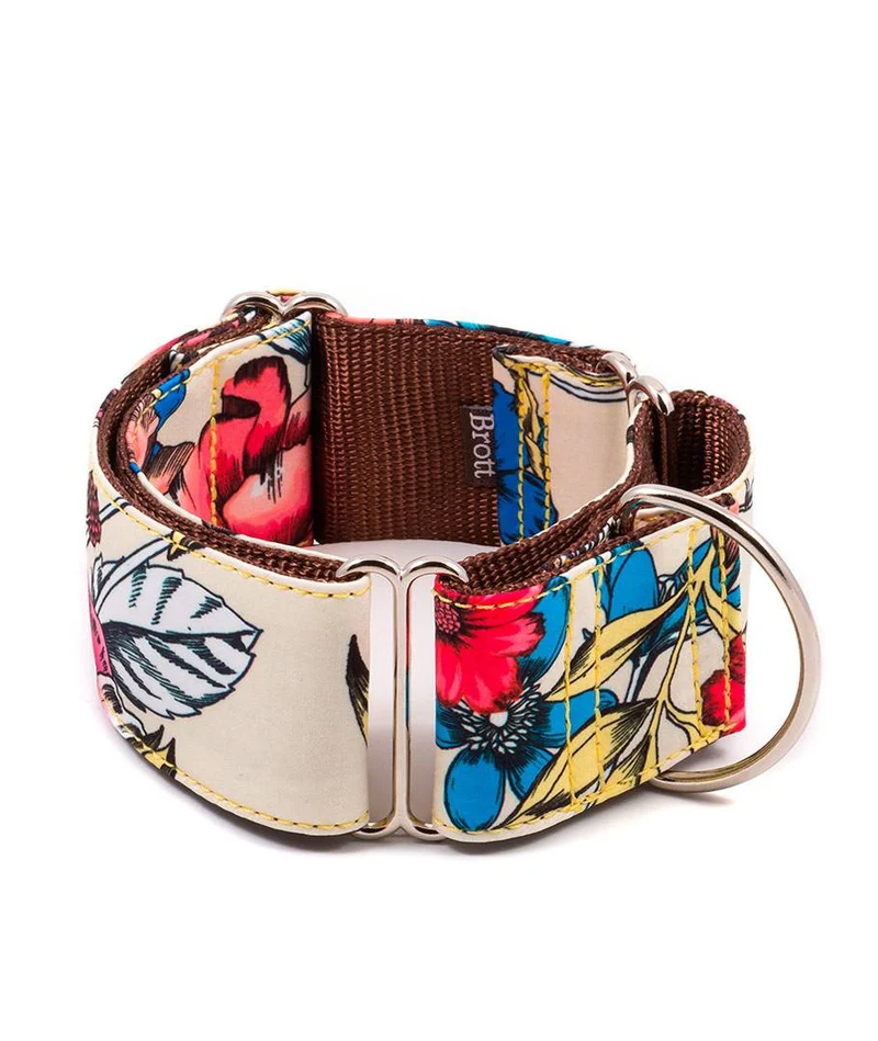 Collar para Galgo Belladona