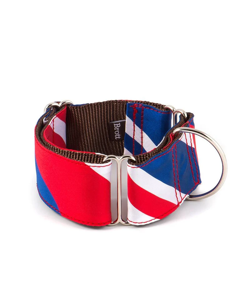 Collar para Galgo Beleser