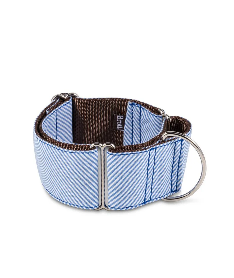 Collar para Galgo Calafell