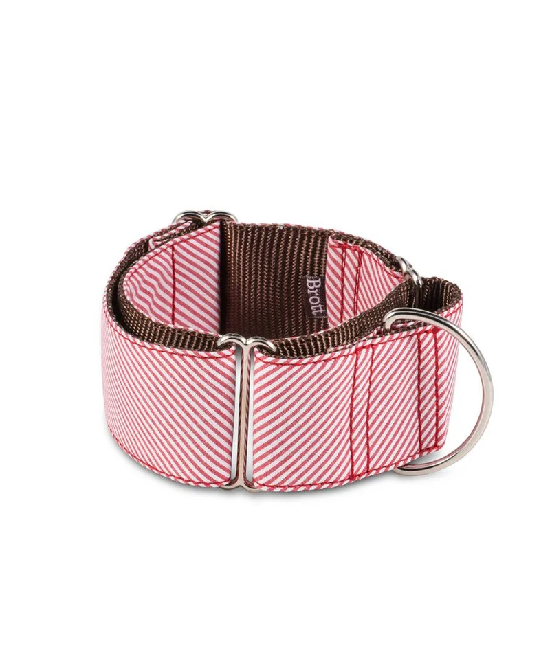 Collar para Galgo Amposta