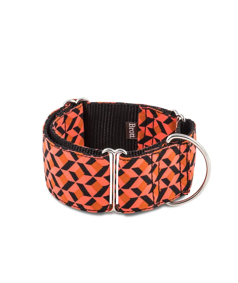 Collar para Galgo Er