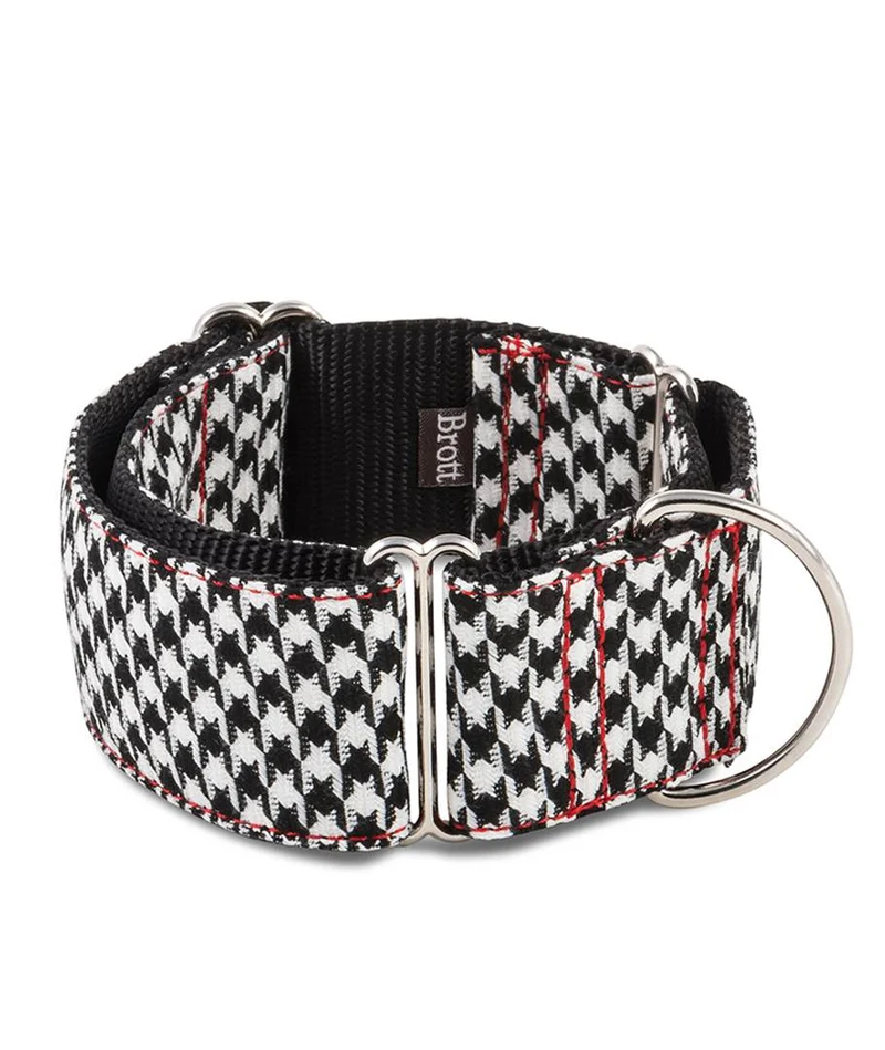 Collar para Galgo Ribes