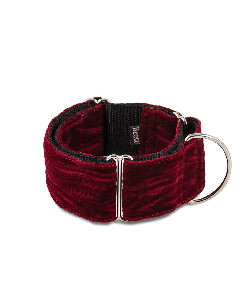 Collar para Galgo Biure