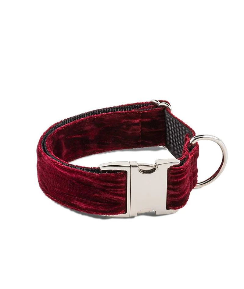 Collar para perro Biure