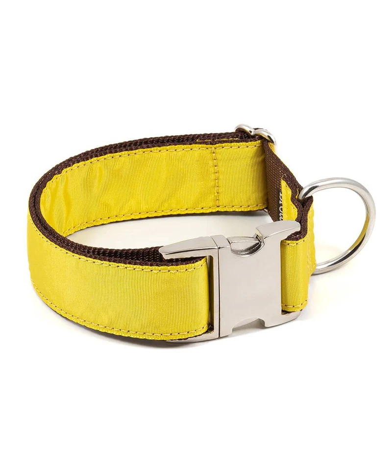 Collar para perro Solid Yellow