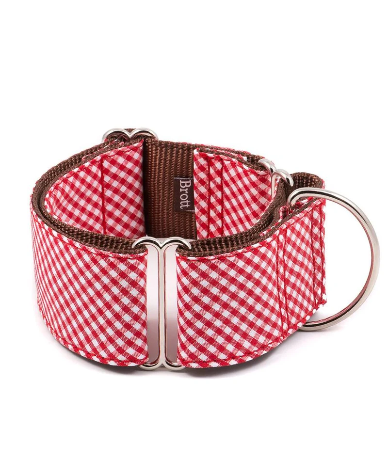 Collar para Galgo Maians
