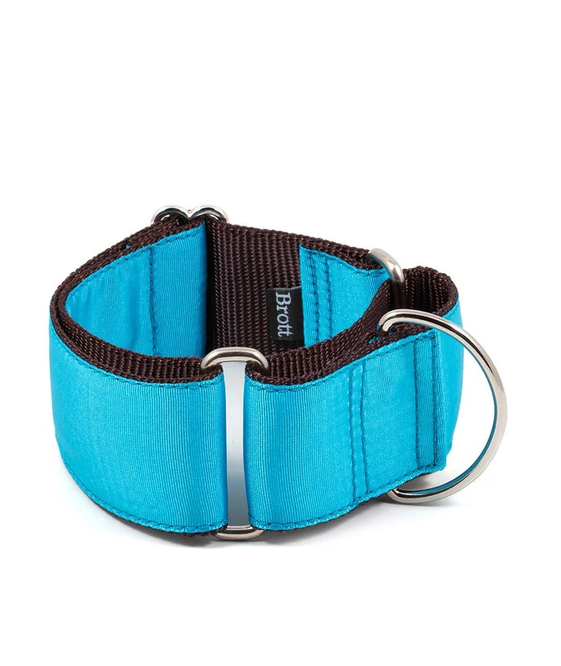 Collar para Galgo Solid Turquoise