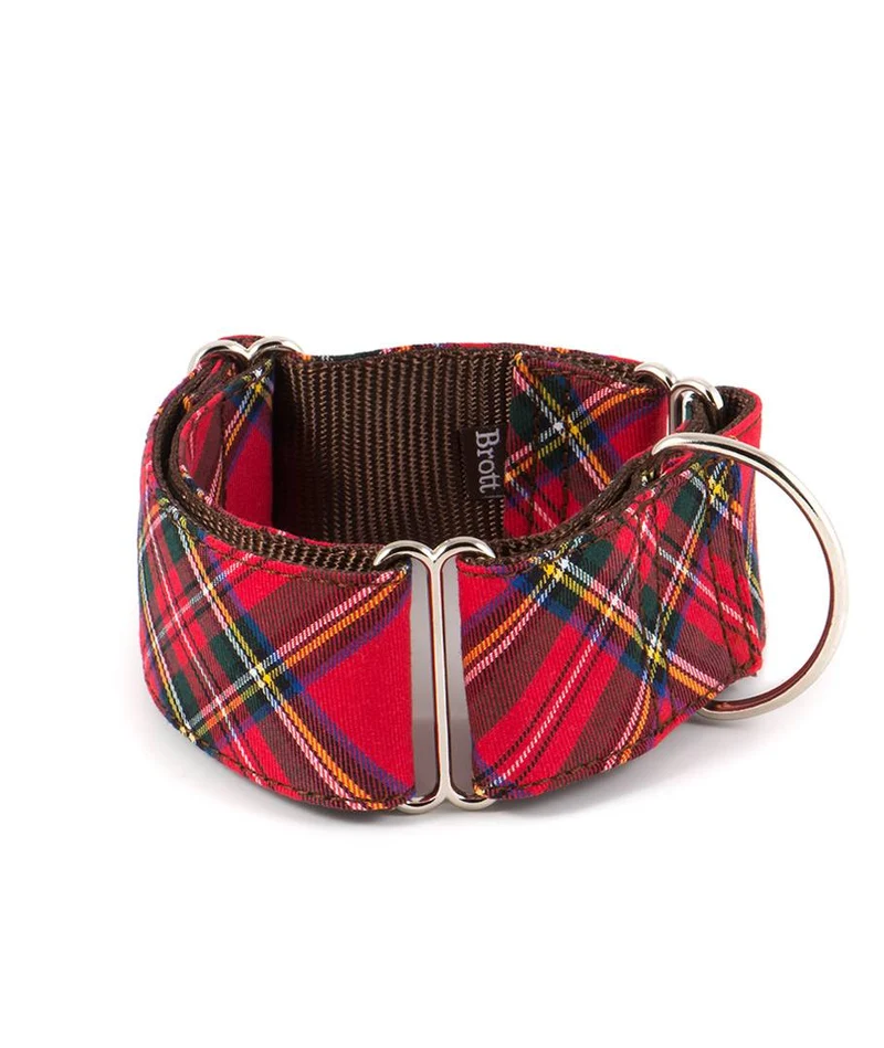 Collar para Galgo Tremp