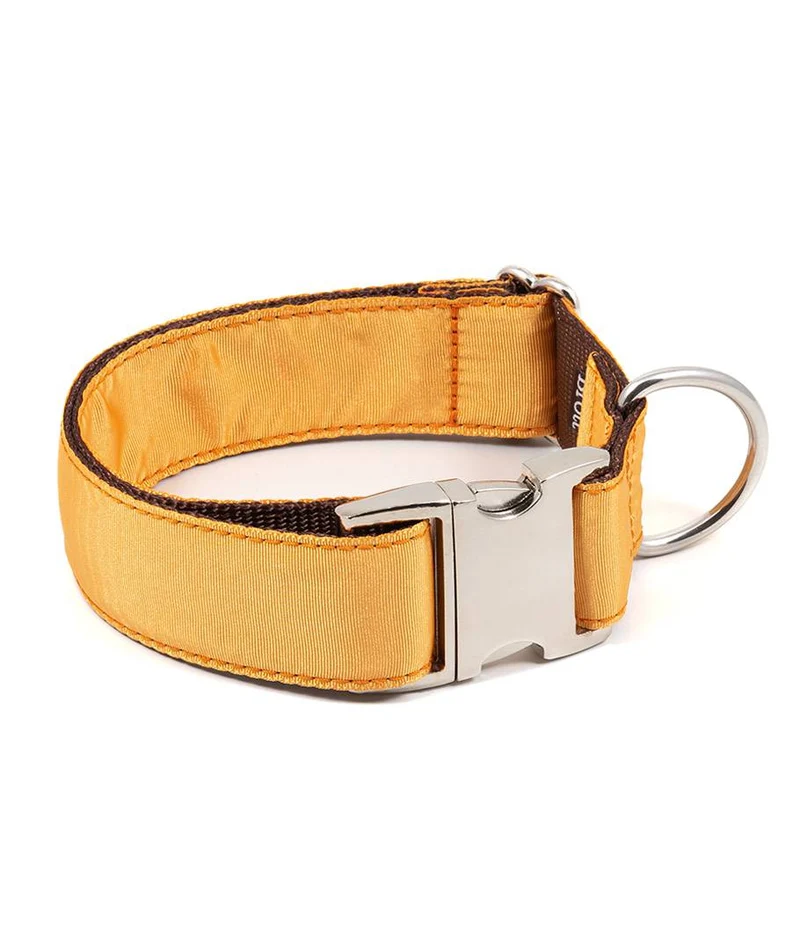 Collar para perro Solid Mandarin