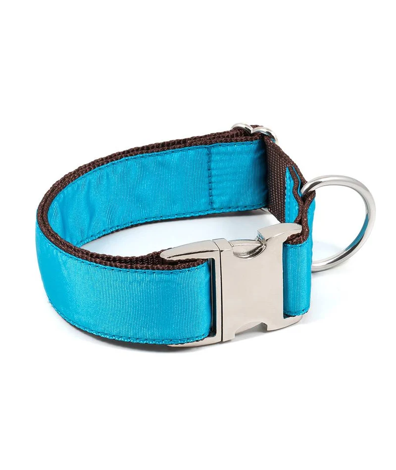 Collar para perro Solid Turquoise