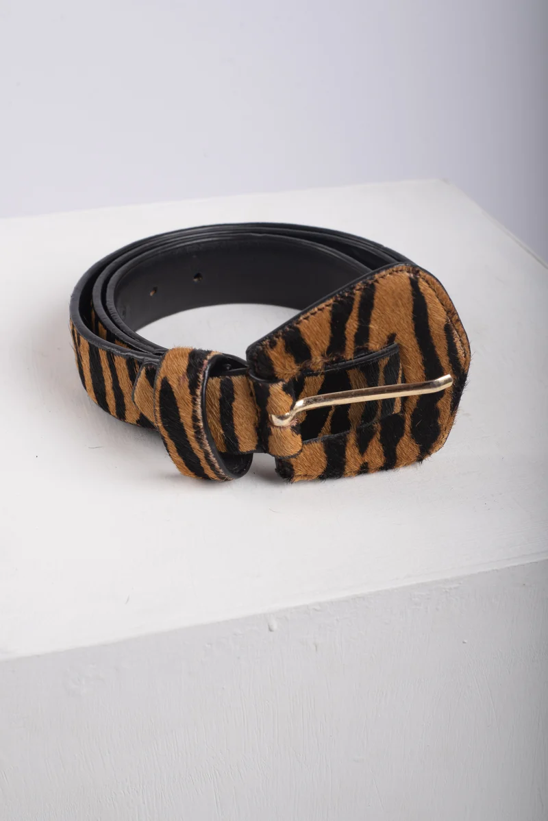CORREA NOA - TIGRE