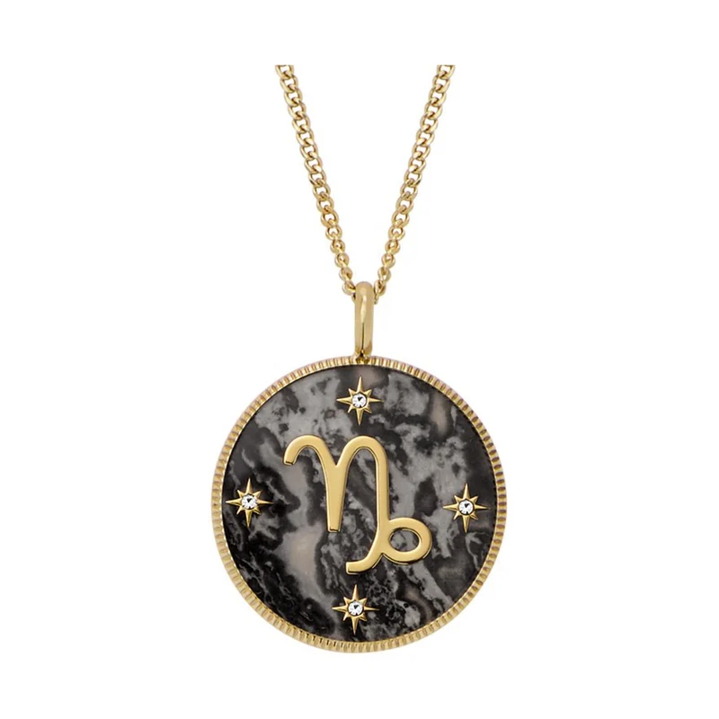 Fossil Written in the Stars Gray Hematite Capricorn Pendant Ladies Necklace JF04847710